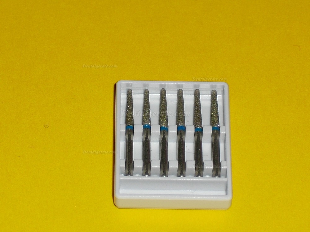 1.6mm Diamantbohrer Bits Bohrer FG TR-13 100 St&uuml;ck